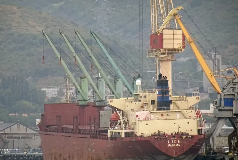 LION Bulk Carrier IMO 9136785 photo 2