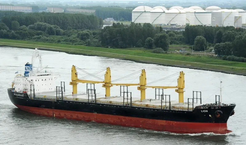 LION Bulk Carrier IMO 9136785 photo 3