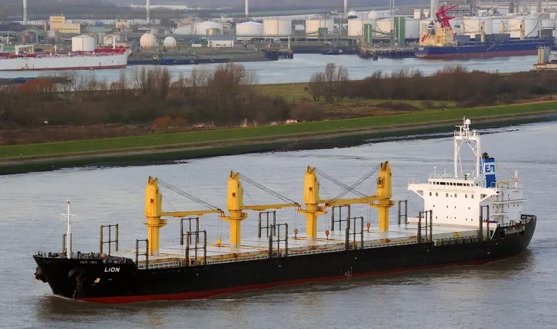 LION Bulk Carrier IMO 9136785 photo 5
