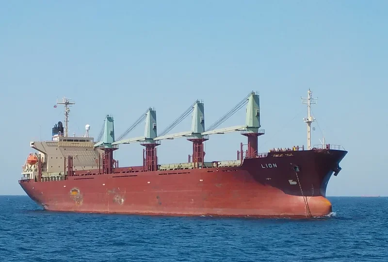 LION Bulk Carrier IMO 9136785 photo 6