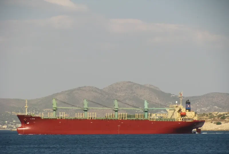 LION Bulk Carrier IMO 9136785 photo 7