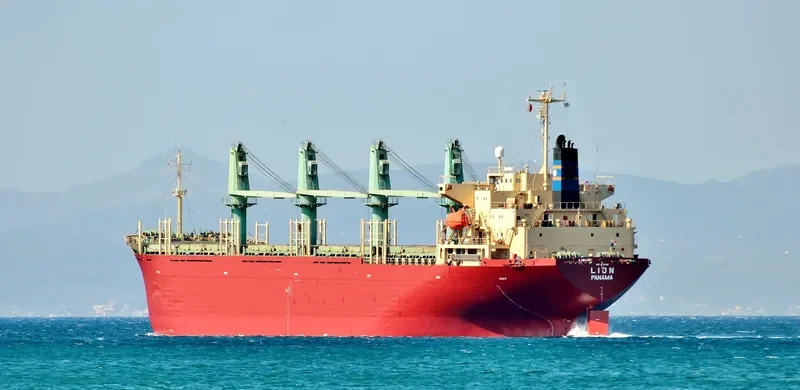 LION Bulk Carrier IMO 9136785 photo 8