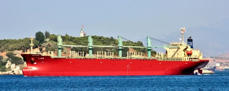 LION Bulk Carrier IMO 9136785 photo 10