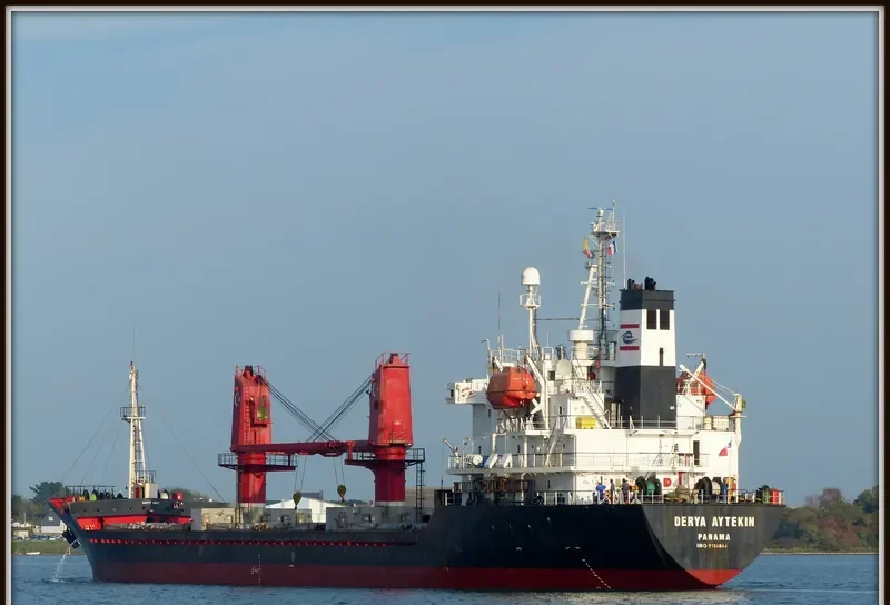 DERYA AYTEKIN General Cargo IMO 9136864 photo 4