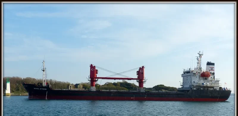 DERYA AYTEKIN General Cargo IMO 9136864 photo 6