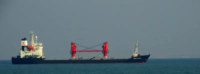 DERYA AYTEKIN General Cargo IMO 9136864 photo 8