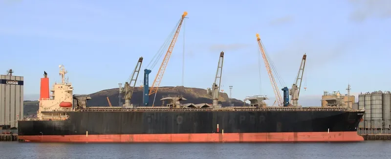 DAIO ROBIN General Cargo IMO 9136905 photo 3