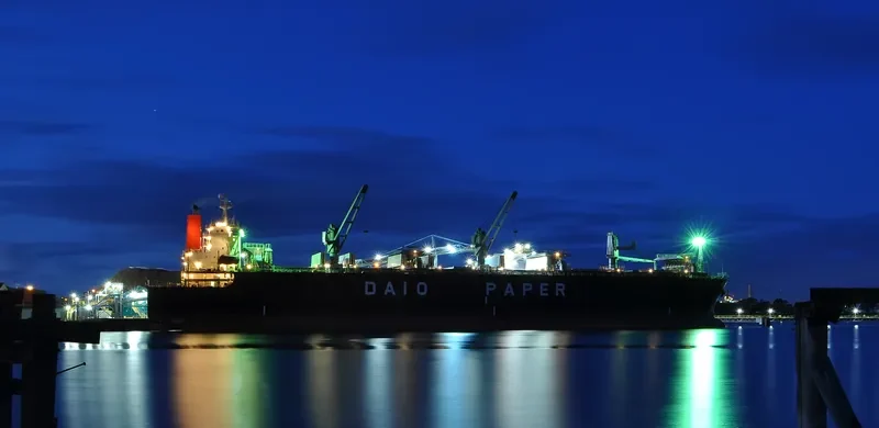 DAIO ROBIN General Cargo IMO 9136905 photo 7