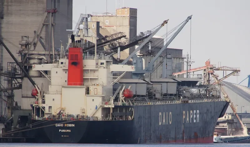 DAIO ROBIN General Cargo IMO 9136905 photo 9