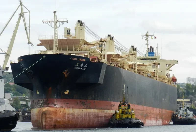 JUPITER Bulk Carrier IMO 9136917 photo 3