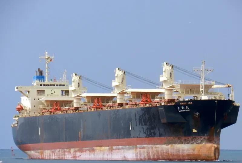 JUPITER Bulk Carrier IMO 9136917 photo 6