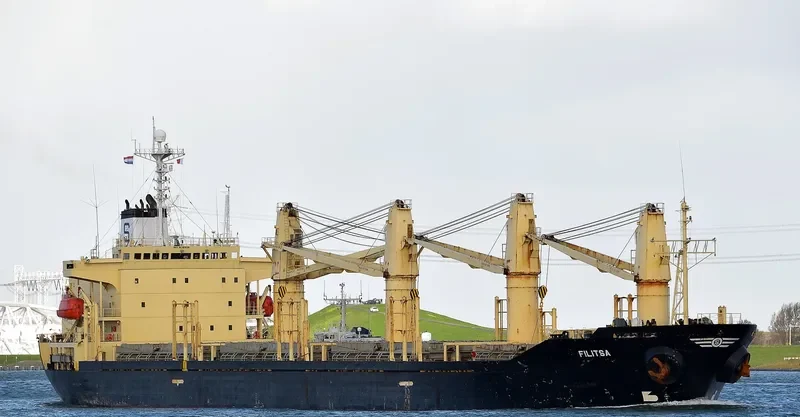 RUKIA Bulk Carrier IMO 9136929