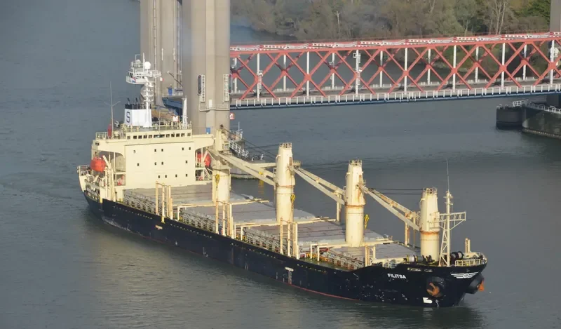 RUKIA Bulk Carrier IMO 9136929 photo 2