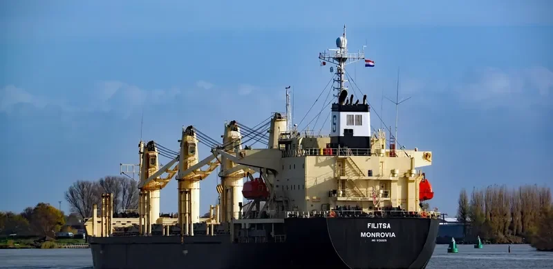 RUKIA Bulk Carrier IMO 9136929 photo 3