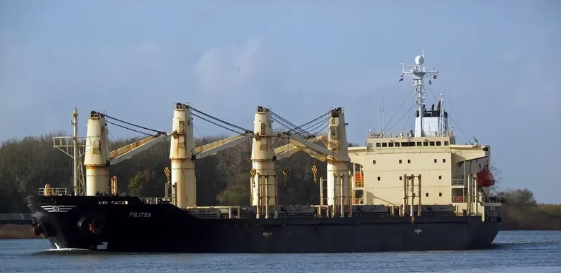 RUKIA Bulk Carrier IMO 9136929 photo 5