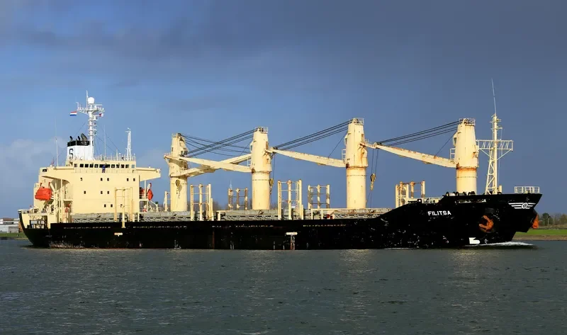 RUKIA Bulk Carrier IMO 9136929 photo 6