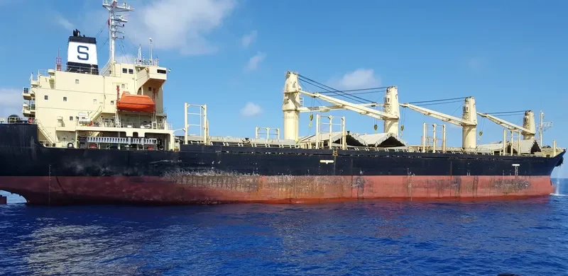 RUKIA Bulk Carrier IMO 9136929 photo 7