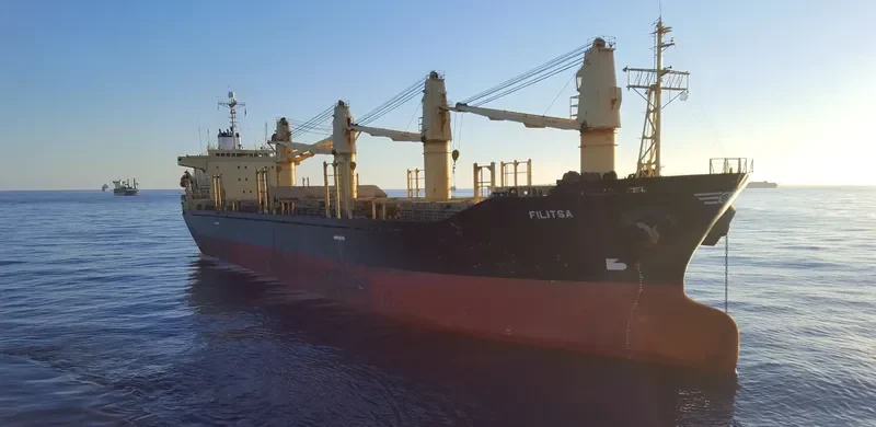 RUKIA Bulk Carrier IMO 9136929 photo 8