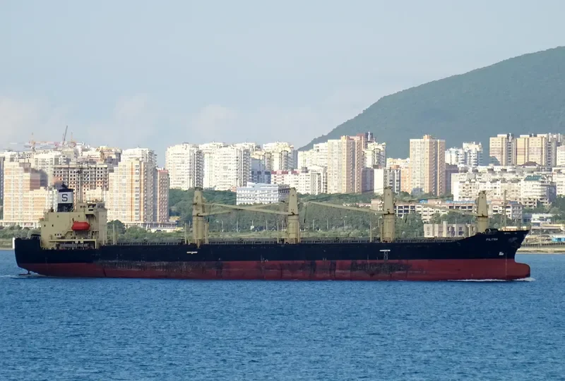 RUKIA Bulk Carrier IMO 9136929 photo 9