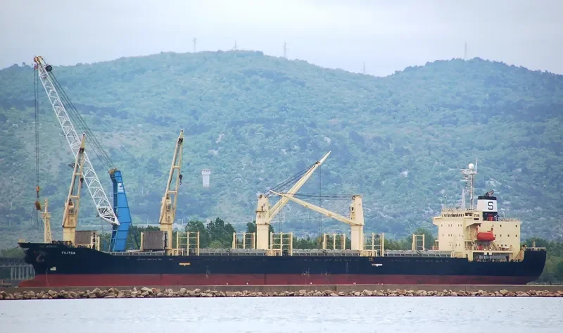 RUKIA Bulk Carrier IMO 9136929 photo 10