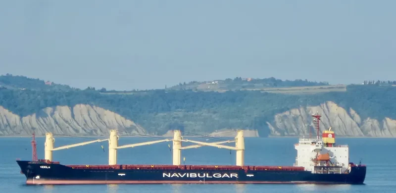 BRAVE COMMANDER Bulk Carrier IMO 9136931