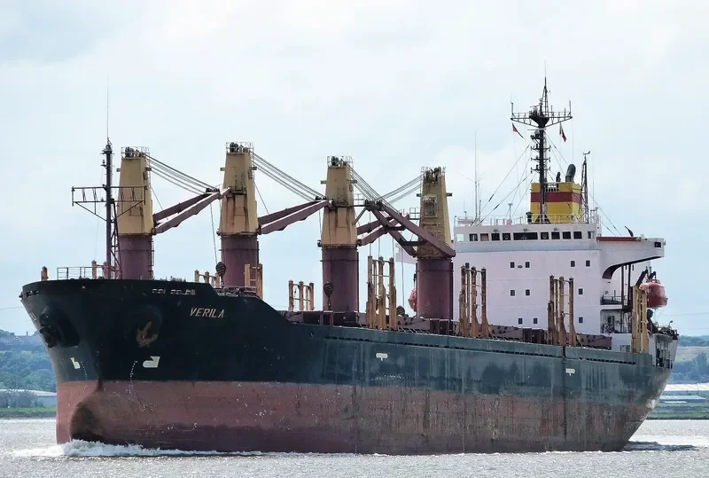 BRAVE COMMANDER Bulk Carrier IMO 9136931 photo 4