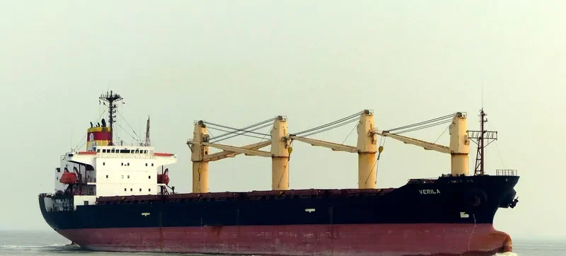 BRAVE COMMANDER Bulk Carrier IMO 9136931 photo 5