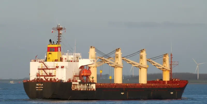 BRAVE COMMANDER Bulk Carrier IMO 9136931 photo 6