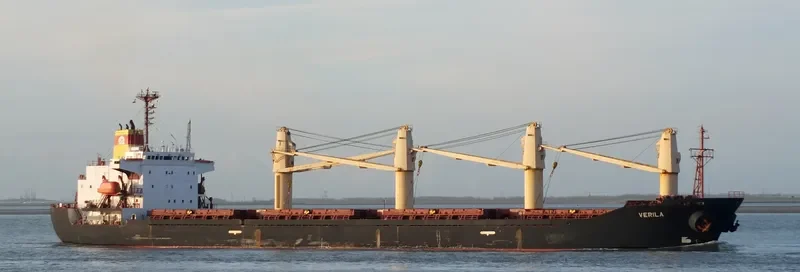 BRAVE COMMANDER Bulk Carrier IMO 9136931 photo 7