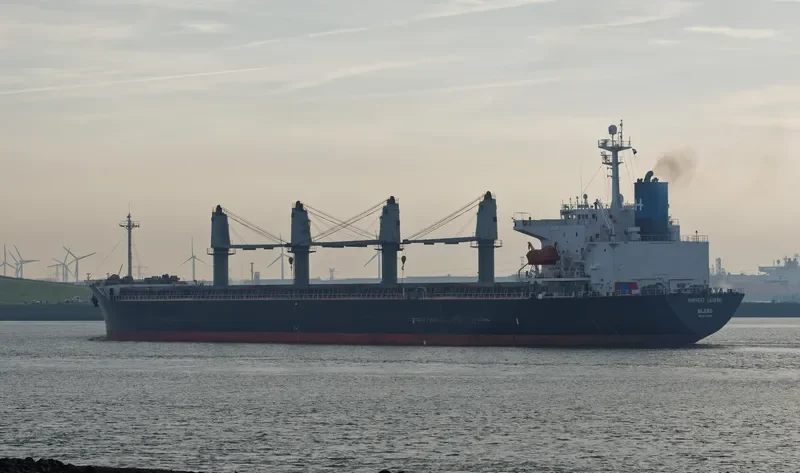 BOLD MARINER Bulk Carrier IMO 9136955 photo 6