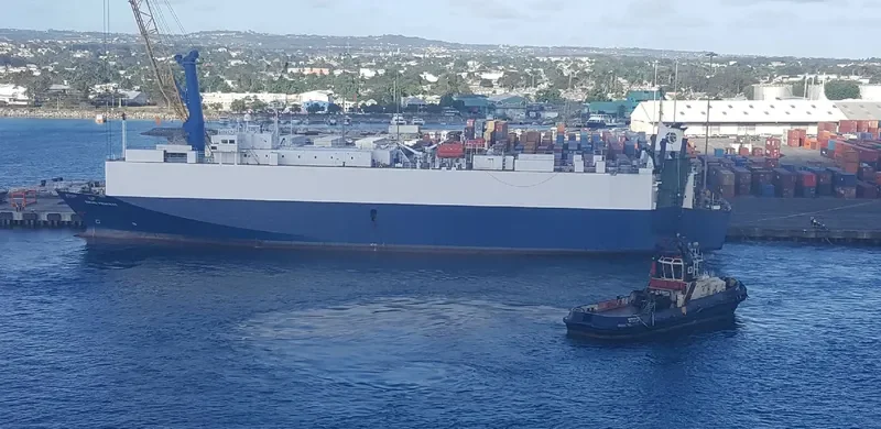 VIKING PRINCESS General Cargo IMO 9136967 photo 4