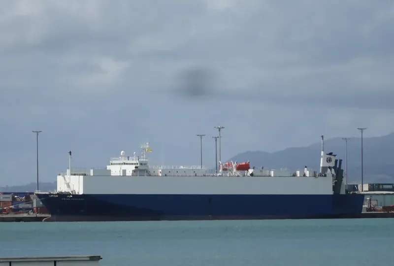 VIKING PRINCESS General Cargo IMO 9136967 photo 7