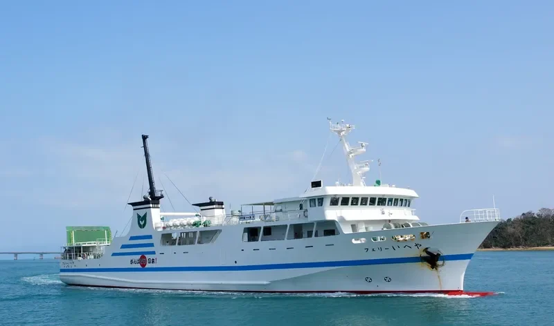 FERRY ARIKAWA Ro-Ro IMO 9137002 photo 4