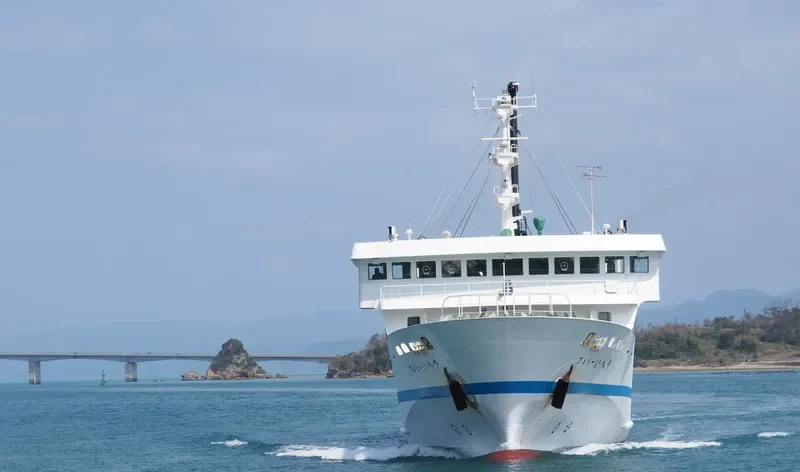 FERRY ARIKAWA Ro-Ro IMO 9137002 photo 5
