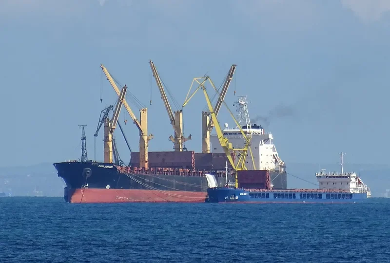 THOR HORIZON Bulk Carrier IMO 9137117 photo 2