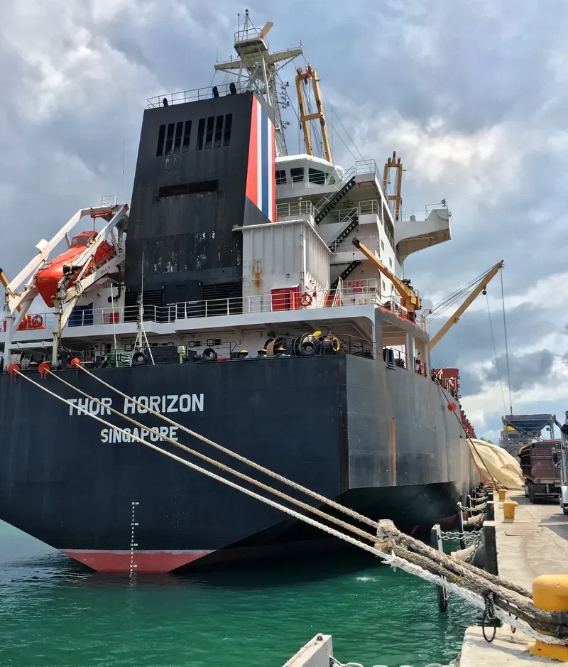 THOR HORIZON Bulk Carrier IMO 9137117 photo 5
