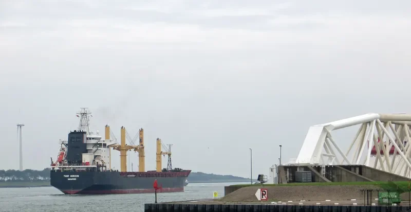 THOR HORIZON Bulk Carrier IMO 9137117 photo 10