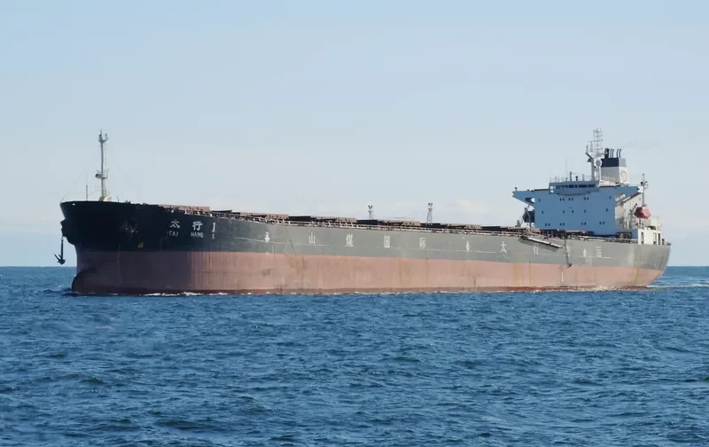 TAI HANG 1 Bulk Carrier IMO 9137131 photo 2