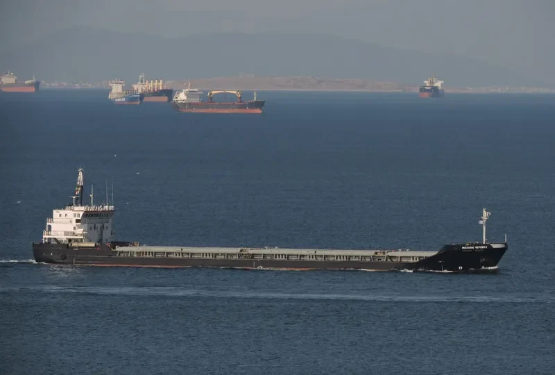 MEKHANIK CHEREVKO General Cargo IMO 9137222 photo 2