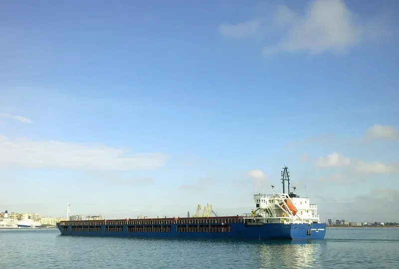 KAPITAN SHYRIAGIN General Cargo IMO 9137234 photo 10