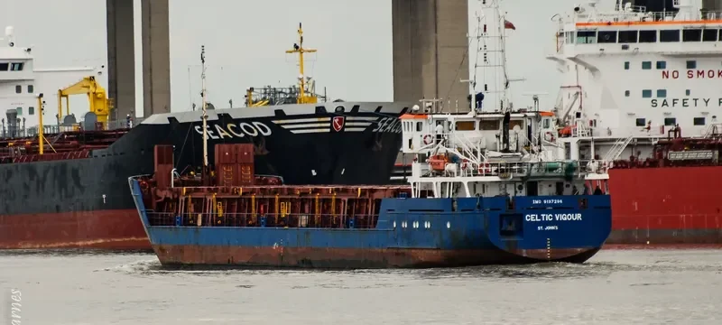 RIX SPRING General Cargo IMO 9137296 photo 7