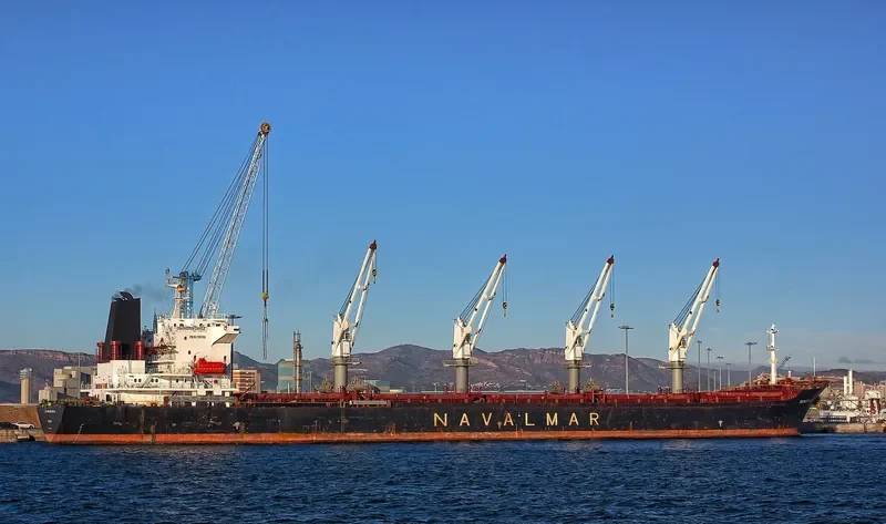 CASTLE Bulk Carrier IMO 9137428 photo 2