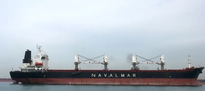CASTLE Bulk Carrier IMO 9137428 photo 3