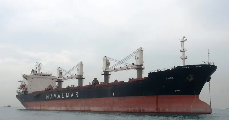 CASTLE Bulk Carrier IMO 9137428 photo 4