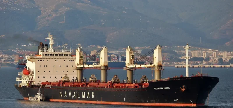 CASTLE Bulk Carrier IMO 9137428 photo 5