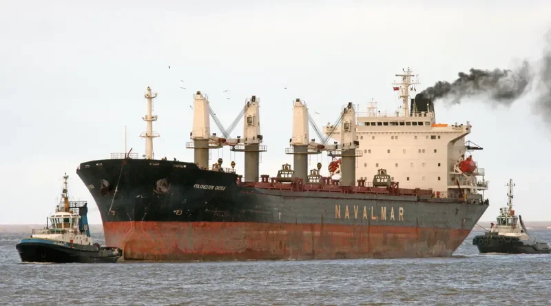 CASTLE Bulk Carrier IMO 9137428 photo 7