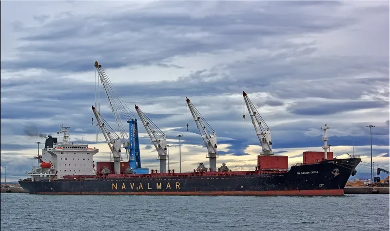 CASTLE Bulk Carrier IMO 9137428 photo 8