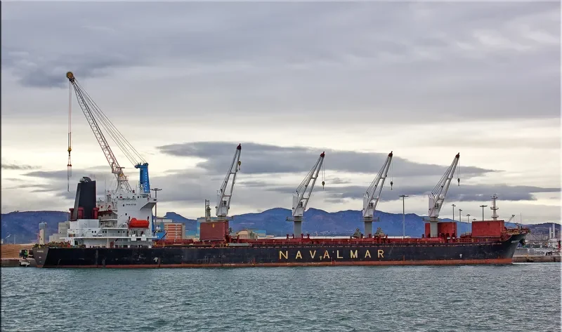 CASTLE Bulk Carrier IMO 9137428 photo 9