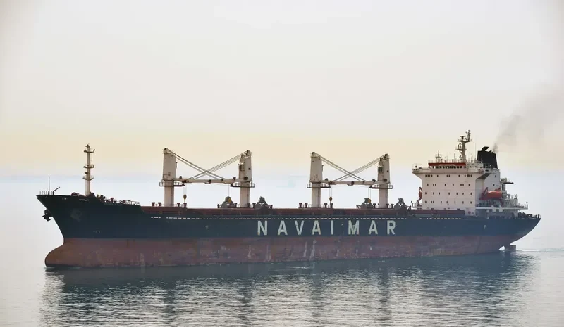 STONY LAKE Bulk Carrier IMO 9137430 photo 3