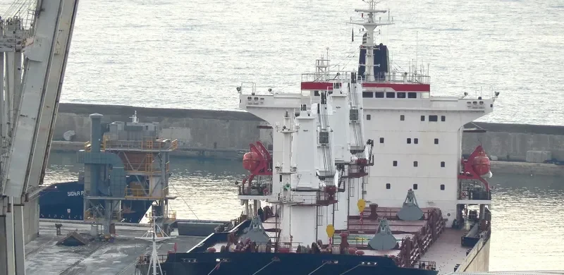 STONY LAKE Bulk Carrier IMO 9137430 photo 6